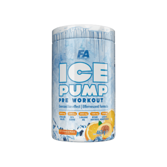 Fa Ice Pump Preworkout 463 gr - THE SUPPLEMENT STORE